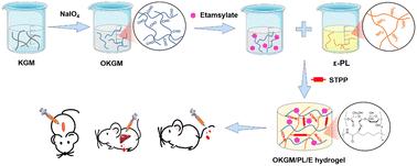 Etamsylate loaded oxidized Konjac glucomannan-ε-polylysine injectable hydrogels for rapid hemostasis and wound healing