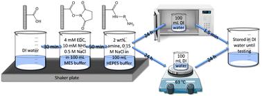 Emerging investigator series: post-synthesis modification of reverse osmosis membranes for the enhanced separation of small neutral molecules†