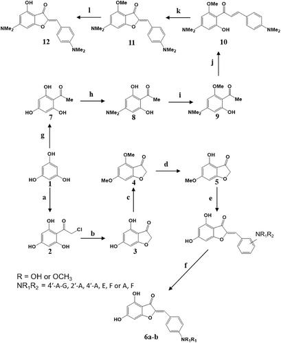 A multifaceted review on aureusidin in planta distribution, (bio)synthesis, and bioactivities