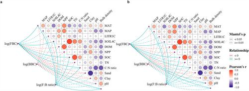 Macroecology Differentiation Between Bacteria and Fungi in Topsoil Across the United States