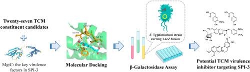 Screening of active constituents in traditional Chinese medicines as potential Salmonella Typhimurium virulence inhibitors targeting Salmonella pathogenicity island III