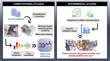 A combination of structure-based virtual screening and experimental strategies to identify the potency of caffeic acid ester derivatives as SARS-CoV-2 3CLpro inhibitor from an in-house database