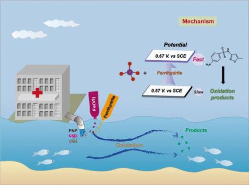 Enhanced Oxidation of Organic Compounds by the Ferrihydrite–Ferrate System: The Role of Intramolecular Electron Transfer and Intermediate Iron Species