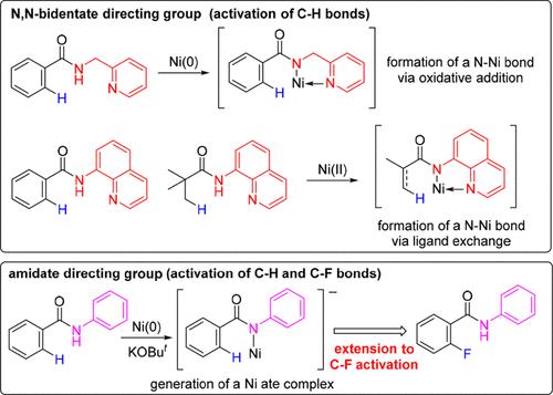 Nickel-Catalyzed Functionalization Reactions Involving C–H Bond Activation via an Amidate-Promoted Strategy and Its Extension to the Activation of C–F, C–O, C–S, and C–CN Bonds
