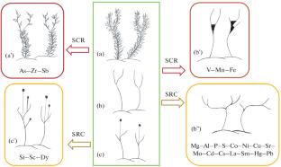 Morphogenetic Abnormalities of Bryobionts in Geochemically Contrasting Conditions of Donbass