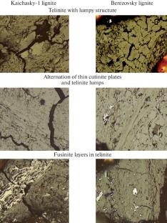 Developing Additives Based on Russian Coal for the Thermal Hydrocracking of Heavy Tar. 1. Coal Petrography, Complex and Elemental Analysis