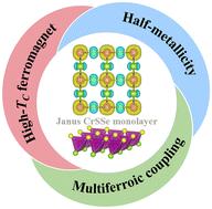 A Janus CrSSe monolayer with interesting ferromagnetism†