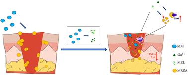 Gallium-based metal–organic frameworks loaded with antimicrobial peptides for synergistic killing of drug-resistant bacteria†