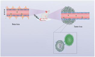 Preparation and anti-tumor effects of mesoporous silica nanoparticles loaded with trifluoperazine