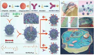 Reduction-responsive polymeric micelles for trans-corneal targeted delivery of microRNA-21-5p and glaucoma-specific gene therapy†