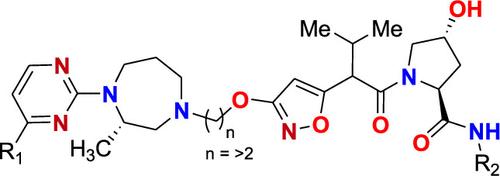 KRAS-Degrading Compounds: A Novel Approach to Treat Cancer by Targeting Both Wild-Type and Mutated KRAS Forms