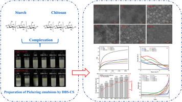 De-branching of starch molecules enhanced the complexation with chitosan and its potential utilization for delivering hydrophobic compounds