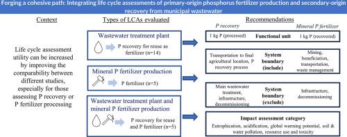 Forging a cohesive path: Integrating life cycle assessments of primary-origin phosphorus fertilizer production and secondary-origin recovery from municipal wastewater