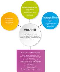 Applications and perspectives for land restoration through nature-based solutions