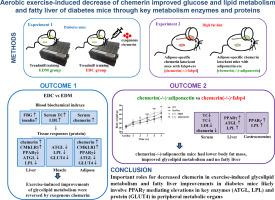 Aerobic exercise-induced decrease of chemerin improved glucose and lipid metabolism and fatty liver of diabetes mice through key metabolism enzymes and proteins