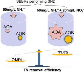 Nitrite improved nitrification efficiency and enriched ammonia-oxidizing archaea and bacteria in the simultaneous nitrification and denitrification process