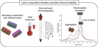 The effect of lipid composition on the thermal stability of nanodiscs