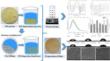 Analysis of the effect mechanism of wet grinding on the film properties of pea protein isolate based on its structure changes