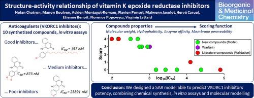 Design of a structure-activity relationship model of vitamin K epoxide reductase (VKORC1) inhibitors combining chemical synthesis of new compounds, enzymatic assays and molecular modelling