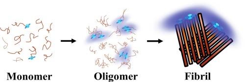 TPE conjugated islet amyloid polypeptide probe for detection of peptide oligomers