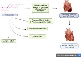 Managing heart failure in diabetics with dual acting sotagliflozin—A review