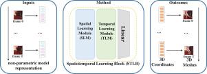 Vertex position estimation with spatial–temporal transformer for 3D human reconstruction