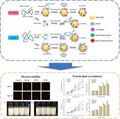 Effect of heat treatment on the physical stability, interfacial composition and protein-lipid co-oxidation of whey protein isolate-stabilised O/W emulsions