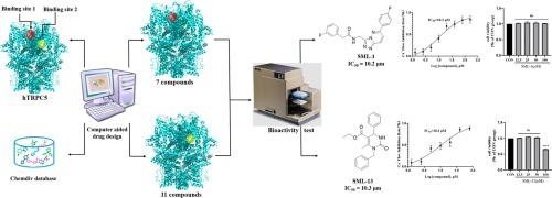 Discovery of potential novel TRPC5 inhibitors by virtual screening and bioassay