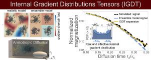 Cumulant expansion framework for internal gradient distributions tensors