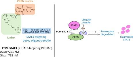 Development of decoy oligonucleotide-warheaded chimeric molecules targeting STAT3