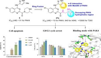 Design, synthesis and anticancer activity evaluation of 4-(3-1H-indazolyl)amino quinazoline derivatives as PAK4 inhibitors