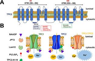 TPC2 gating: Trying to break the enigma code