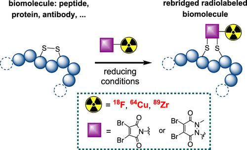 Fluorine-18 and Radiometal Labeling of Biomolecules via Disulfide Rebridging