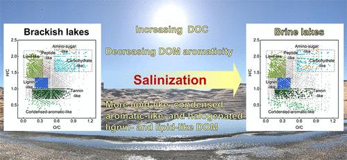 Dissolved Organic Matter Characteristics and Composition of Saline Lakes in the Badain Jaran Desert, China