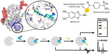 Designing photoaffinity tool compounds for the investigation of the DENV NS2B–NS3 protease allosteric binding pocket†
