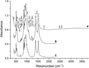 Crystal chemistry and thermal behavior of B-, S- and Na-bearing spurrite