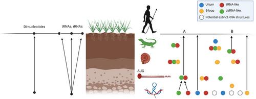 Viruses as archaeological tools for uncovering ancient molecular relationships