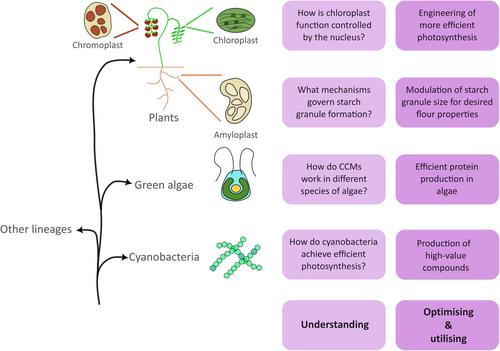 Exploring the potential of plastid biology and biotechnology