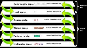 Mathematical methods for scaling from within-host to population-scale in infectious disease systems