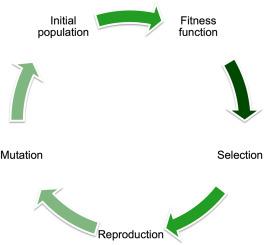 On the relationship between the activity at point of interests and road traffic