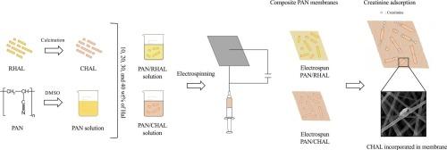 Electrospun polyacrylonitrile/halloysite nanofibrous membranes for creatinine removal from kidney failure patients