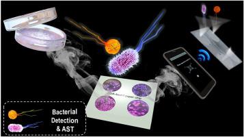 Smartphone-based polydiacetylene colorimetric sensor for point-of-care diagnosis of bacterial infections