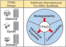 Optimising degradation and mechanical performance of additively manufactured biodegradable Fe–Mn scaffolds using design strategies based on triply periodic minimal surfaces