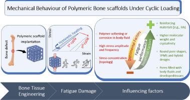 Fatigue behaviour of load-bearing polymeric bone scaffolds: A review