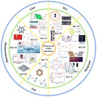 Fluorescent covalent organic frameworks for environmental pollutant detection sensors and enrichment sorbents: a mini-review