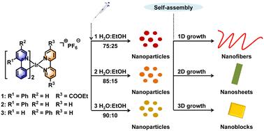 Controllable 1D, 2D and 3D supramolecular assemblies of Ir(iii) complexes†