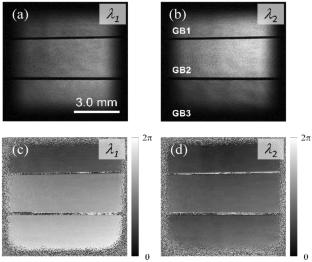 Two-wavelength digital holography using frequency-modulated continuous-wave technique for multiplexing in the time–frequency domain