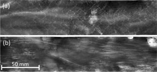 Effects of thermal pretreatment and equivalence ratio on DME/\({\hbox {O}}_2\)/\({\hbox {O}}_3\) detonations