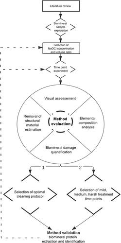 Extracting proteins from microscopic biominerals: A reproducible method development using oyster larvae