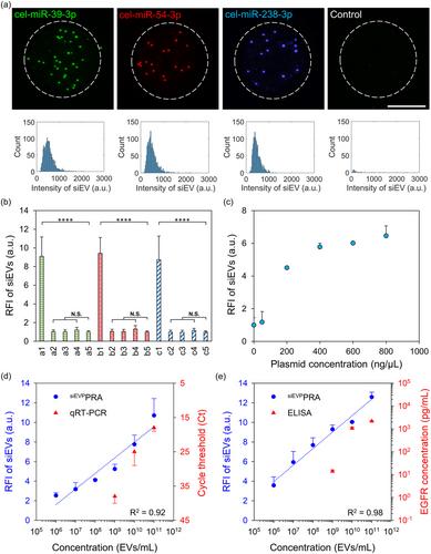 Engineering a tunable micropattern-array assay to sort single extracellular vesicles and particles to detect RNA and protein in situ